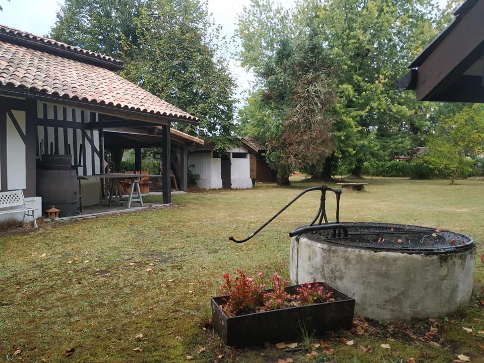 Musée 5
