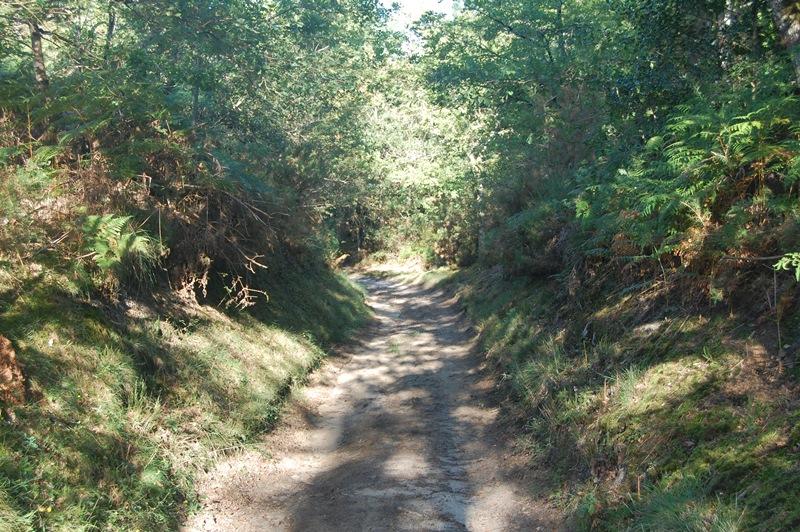 Circuit de Barzague 1
