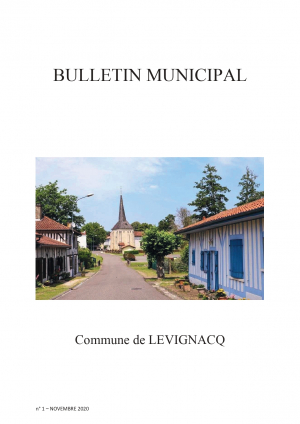 Bulletin municipal n°1 - Novembre 2020_page-0001.jpg