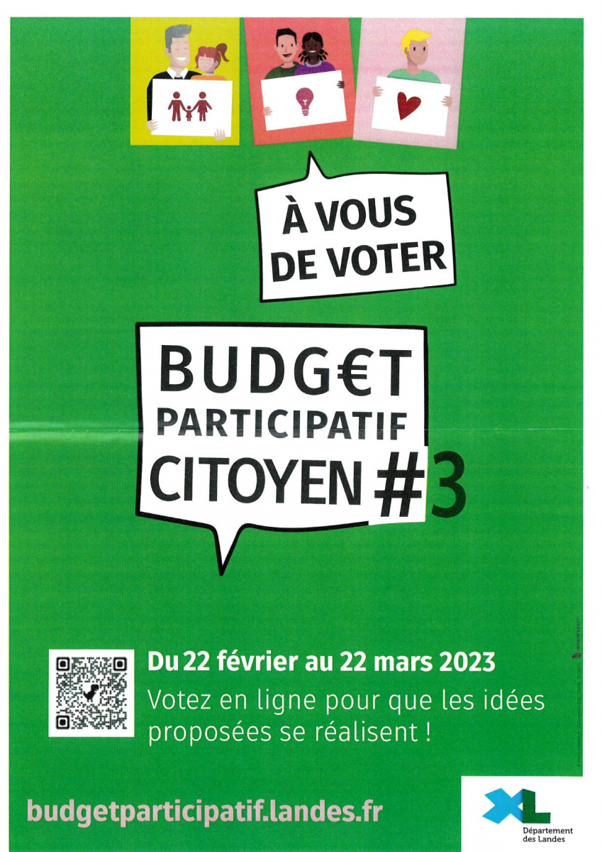 Budget-participatif-citoyen.jpg